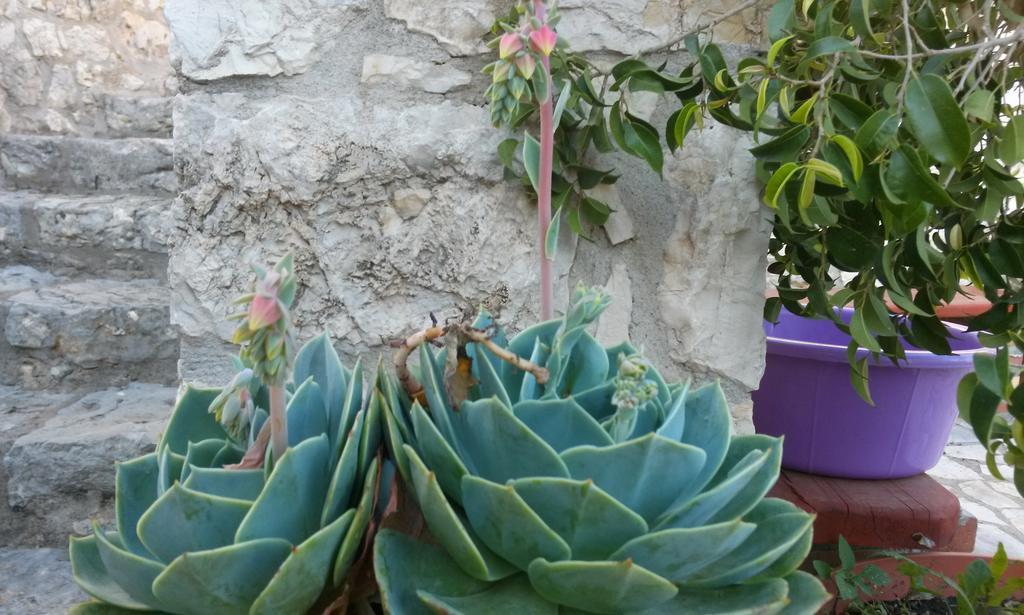 Porto Poros Lägenhet Mikros Gialos Exteriör bild